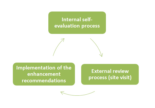 International external review process
